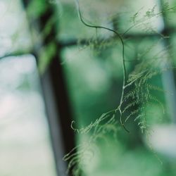 古我邸の写真1枚目