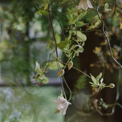 古我邸の写真2枚目