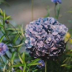 古我邸の写真36枚目