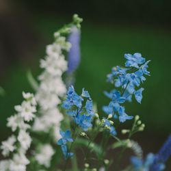 古我邸の写真34枚目