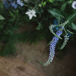 古我邸の写真27枚目