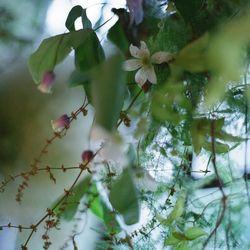 古我邸の写真30枚目