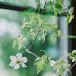 古我邸の写真23枚目