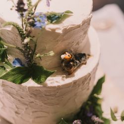 古我邸の写真17枚目