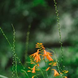 古我邸の写真12枚目