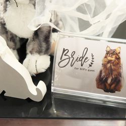 アルカンシエル luxe mariage大阪の写真7枚目