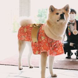 アールベルアンジェ三重の写真35枚目