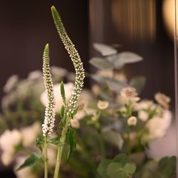 アルモニーソルーナ 表参道の写真2枚目