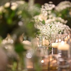 アルモニーソルーナ 表参道の写真36枚目