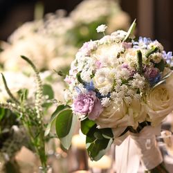 アルモニーソルーナ 表参道の写真9枚目