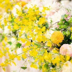 ホテル雅叙園東京の写真14枚目