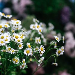 TOASTの写真19枚目