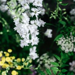 TOASTの写真32枚目