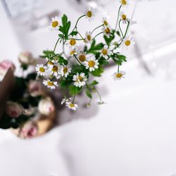 TOASTの写真23枚目