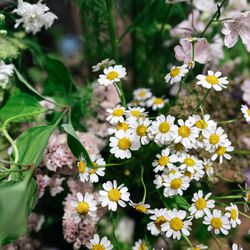 TOASTの写真32枚目