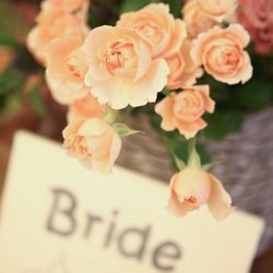 海辺のガーデンハウス リーベリアの写真14枚目