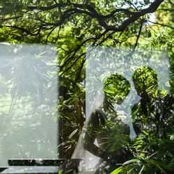 ザ ナンザンハウスの写真29枚目