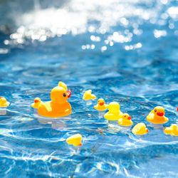 ザ・リーヴス プレミアムテラスの写真17枚目