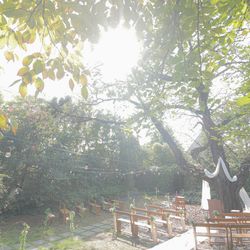 ラ・クラリエールの写真25枚目