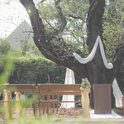 ラ・クラリエールの写真24枚目