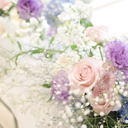 Mia Viaの写真16枚目