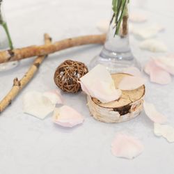 Mia Viaの写真10枚目