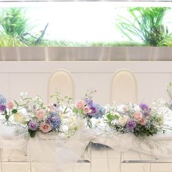 Mia Viaの写真10枚目