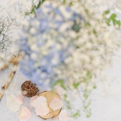 Mia Viaの写真26枚目