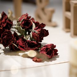 ザ・ガーデンオリエンタル大阪の写真3枚目