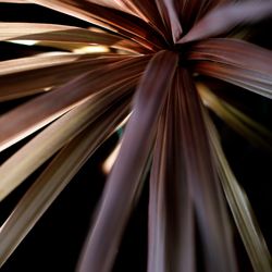 ザ・ガーデンオリエンタル大阪の写真26枚目