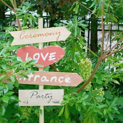 ザ・ジョージアンテラスの写真35枚目