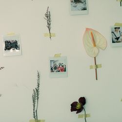 旧グッゲンハイム邸の写真4枚目