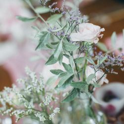 GREEN HILLの写真25枚目