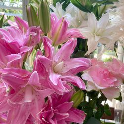 GREEN HILLの写真18枚目