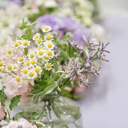 アクアテラス迎賓館  新横浜の写真33枚目