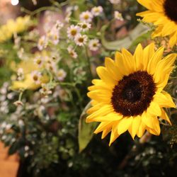 ロイヤルパーク アルカディアの写真19枚目