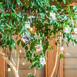 アーブルオランジュの写真30枚目