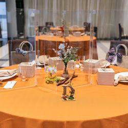 Mia Viaの写真31枚目