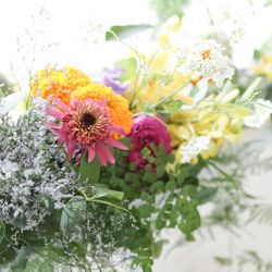 Mia Viaの写真24枚目