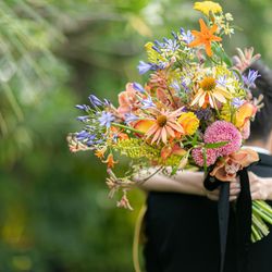 マンダリンポルトの写真8枚目