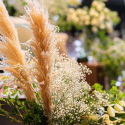 マンダリンポルトの写真7枚目