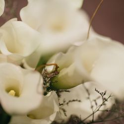 ザ・リッツ・カールトン大阪の写真34枚目