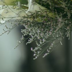 ザ・リッツ・カールトン大阪の写真36枚目