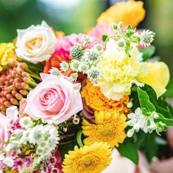 GREEN HILLの写真32枚目