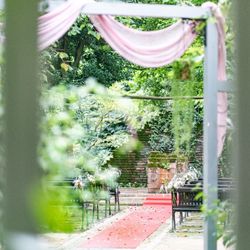 GREEN HILLの写真12枚目