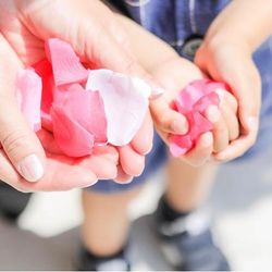 アルカンシエルガーデン名古屋の写真17枚目