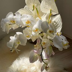 The South Harbor Resortの写真24枚目