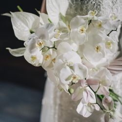 The South Harbor Resortの写真1枚目