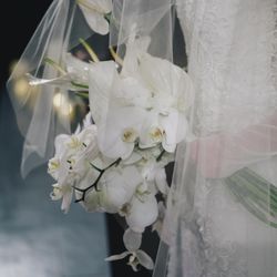 The South Harbor Resortの写真12枚目