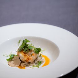 パレスホテル東京の写真29枚目